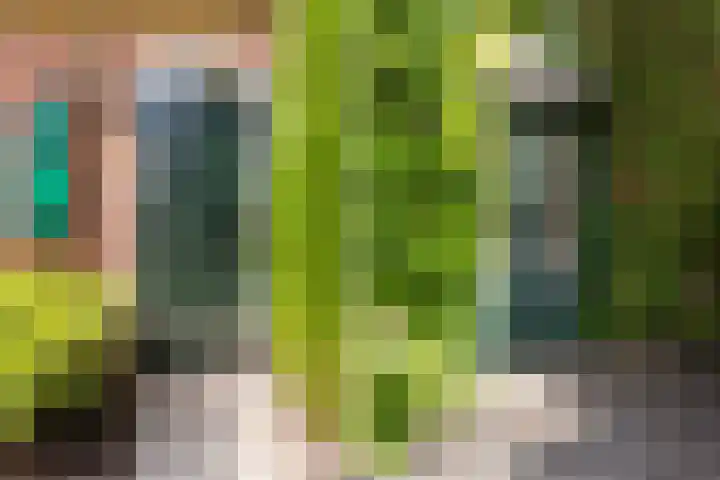 Dorpsstraat 120 Zoetermeer thumbnail 33