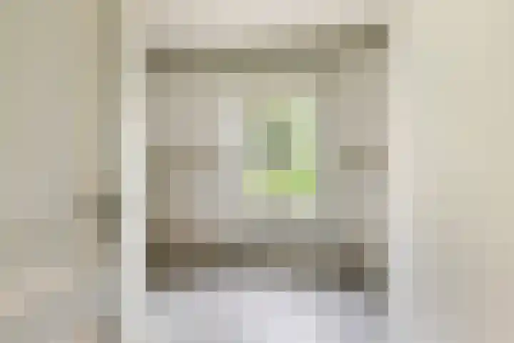 Dorpsstraat 120 Zoetermeer thumbnail 52