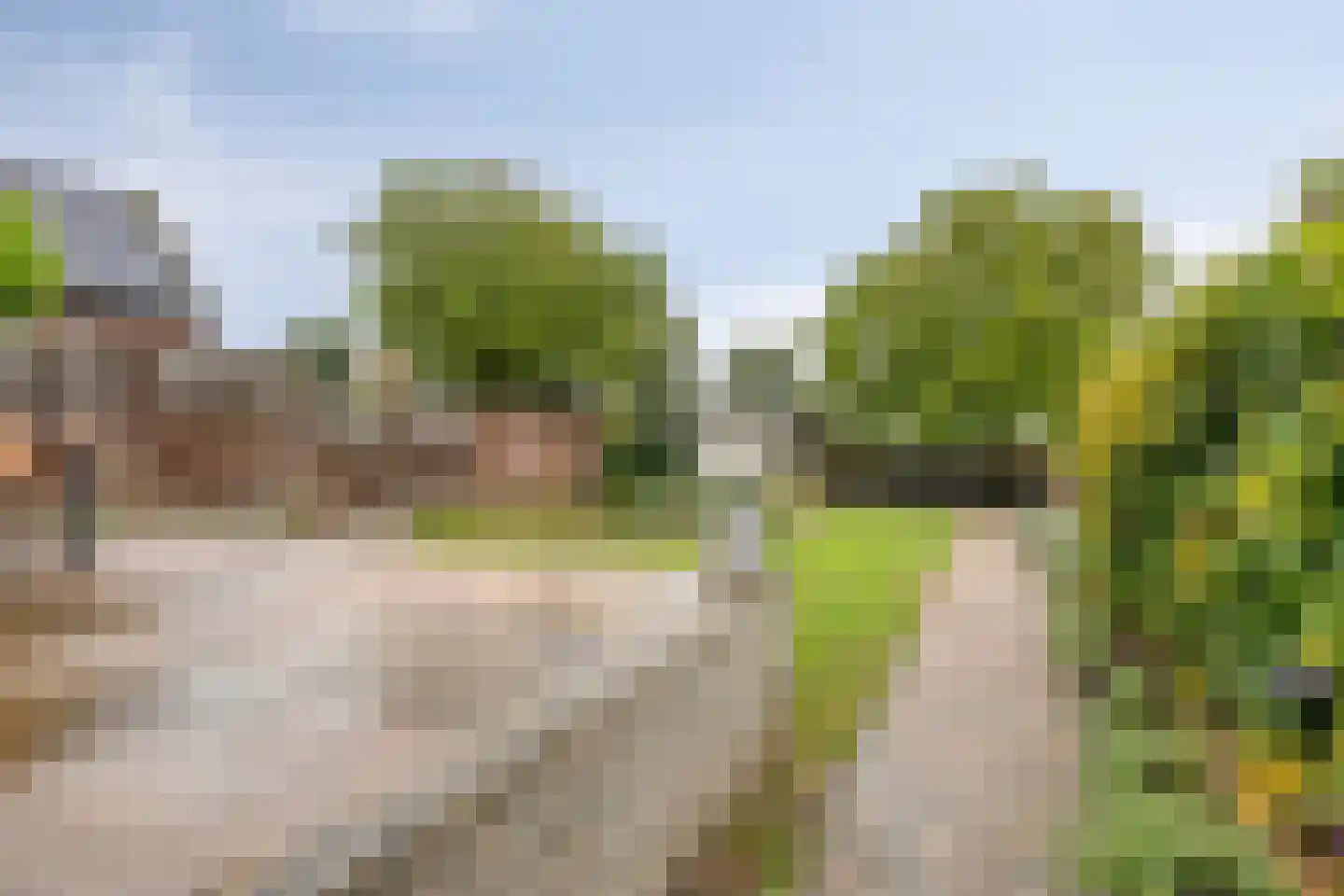 Dorpsstraat 121 Woensdrecht thumbnail 38