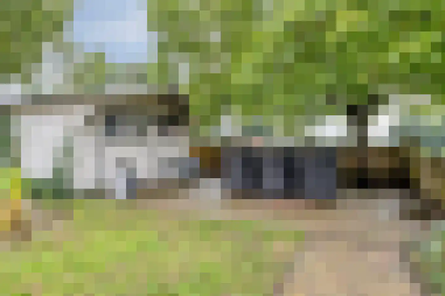 Dorpsstraat 121 Woensdrecht thumbnail 42
