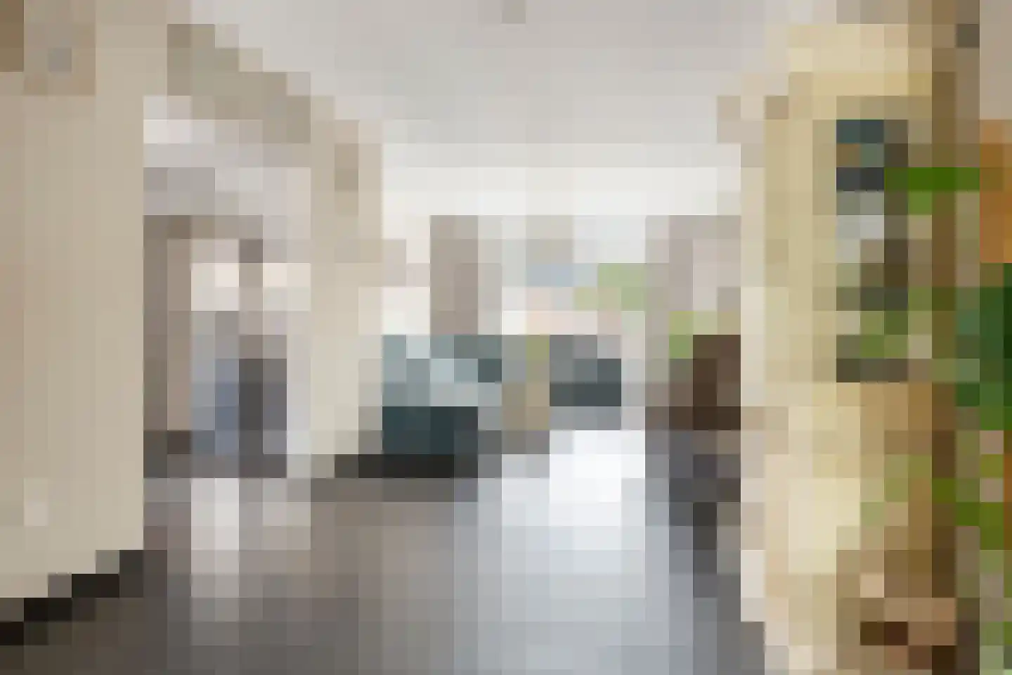 Dorpsstraat 121 Woensdrecht thumbnail 8
