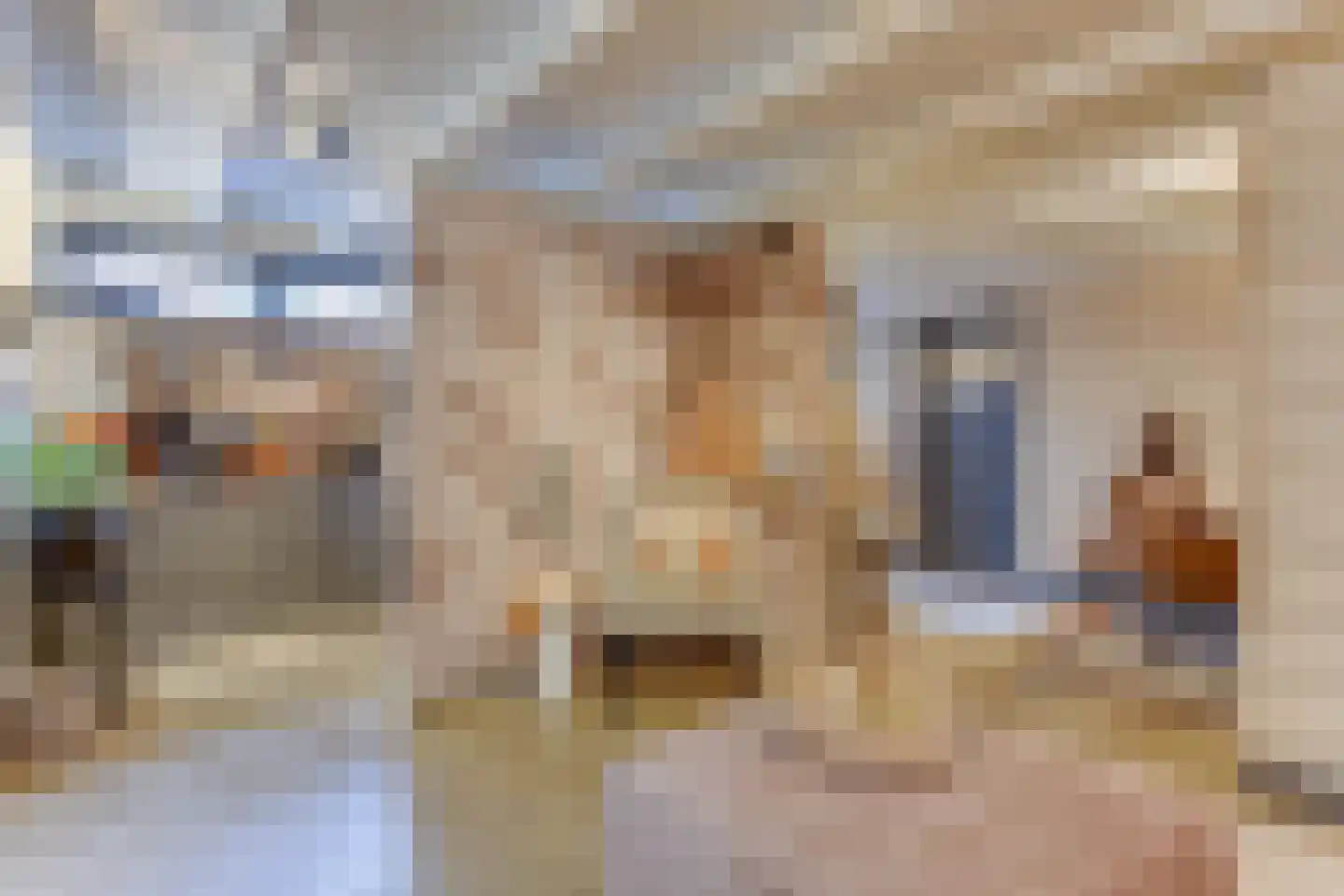 Dorpsstraat 122 Obdam thumbnail 19