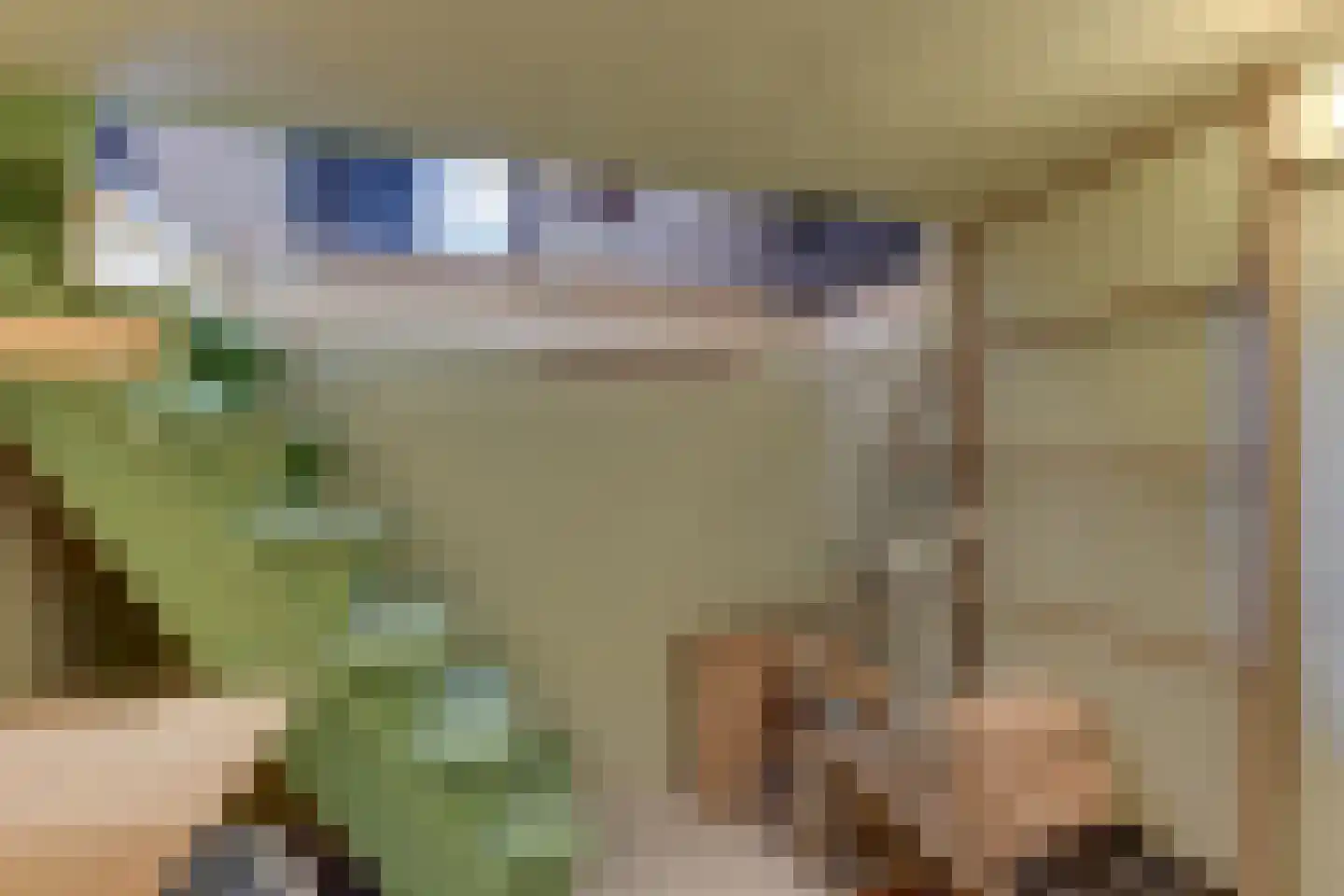 Dorpsstraat 122 Obdam thumbnail 32