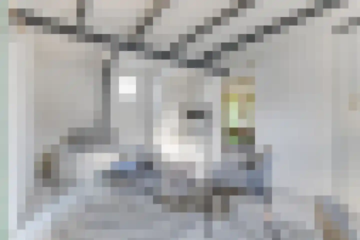 Dorpsstraat 122 Obdam thumbnail 36