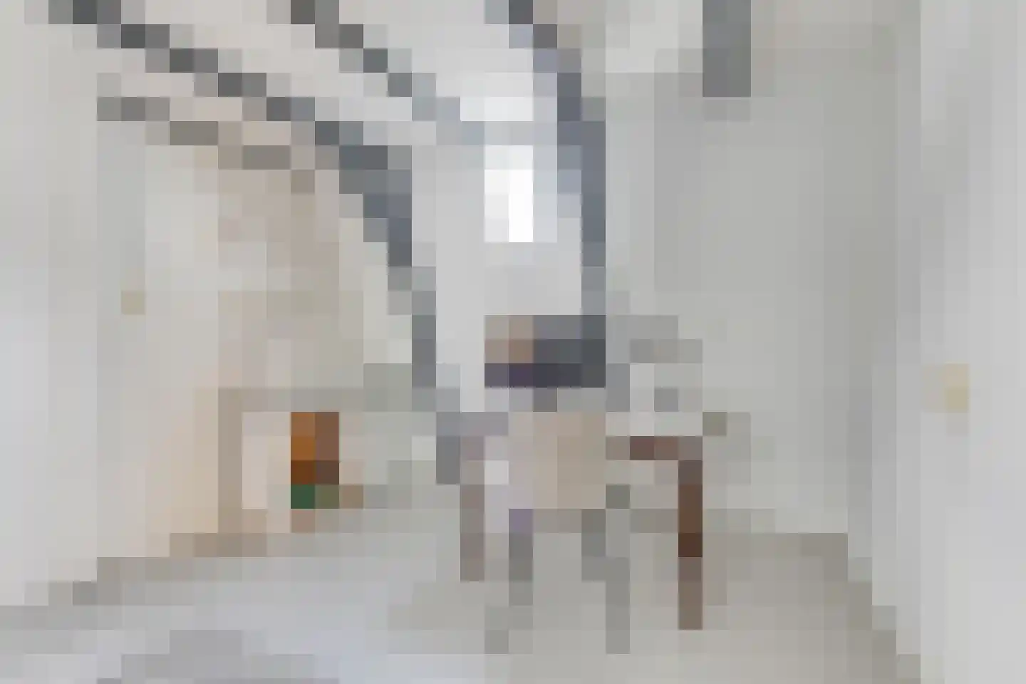 Dorpsstraat 122 Obdam thumbnail 37