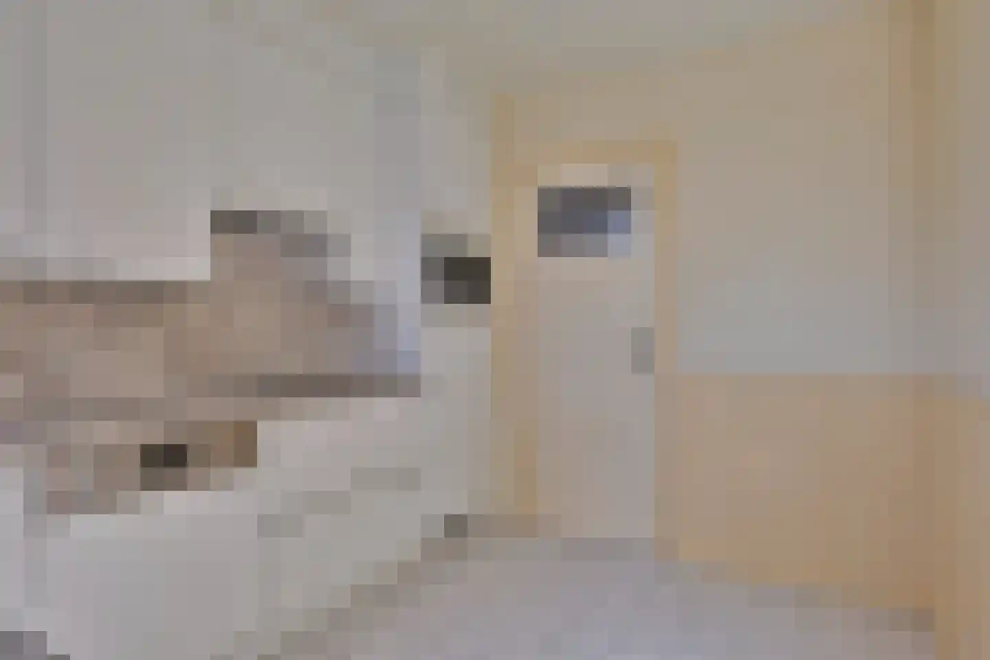 Dorpsstraat 124 Breskens thumbnail 9