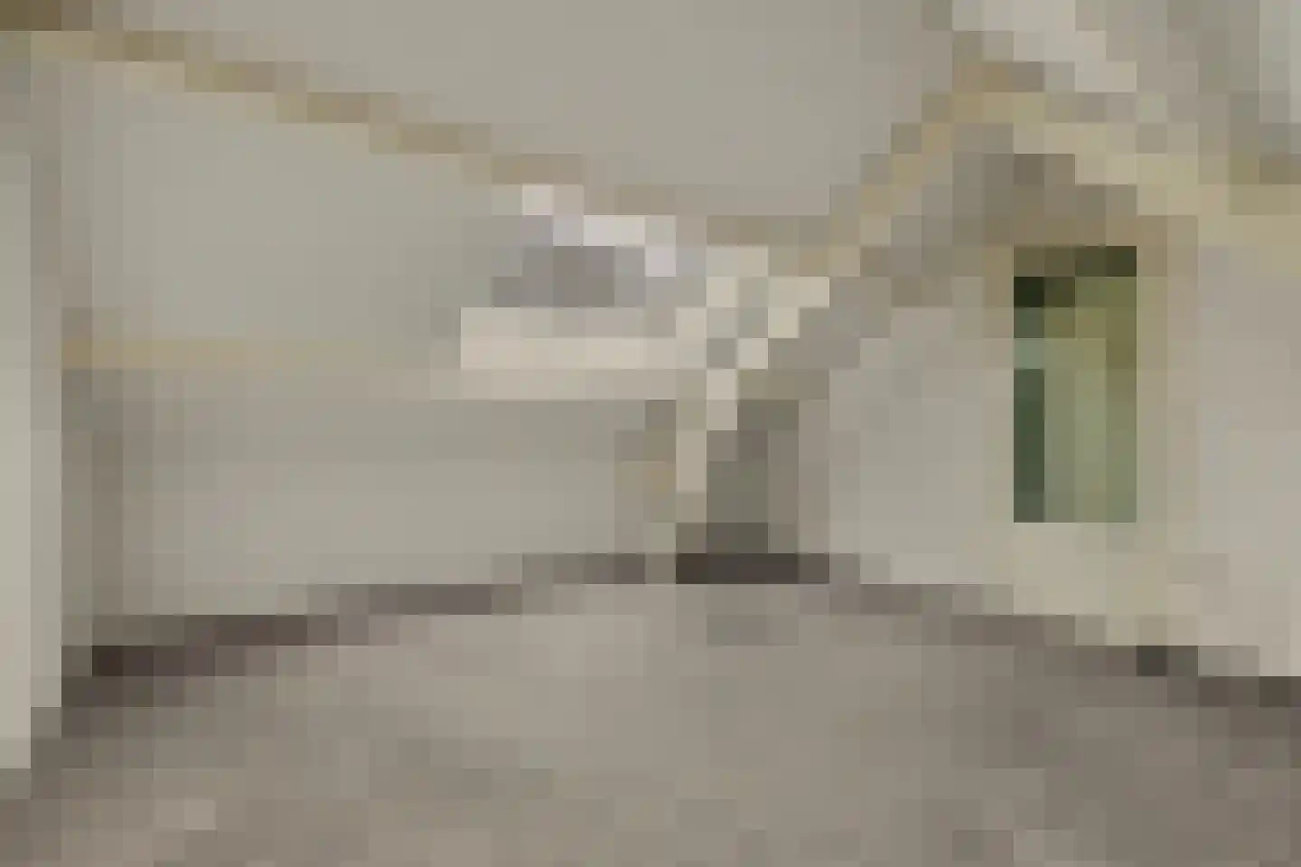 Dorpsstraat 126 Krabbendijke thumbnail 33