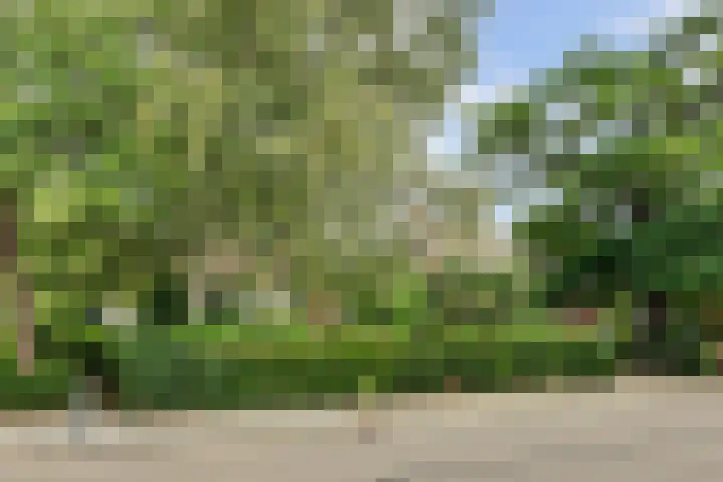 Dorpsstraat 126 Krabbendijke thumbnail 4