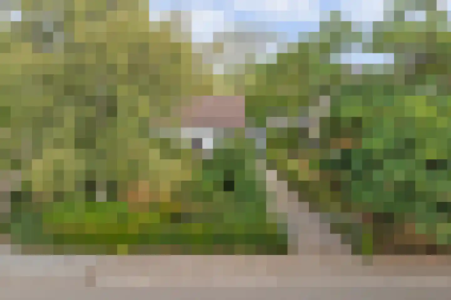 Dorpsstraat 126 Krabbendijke thumbnail 51