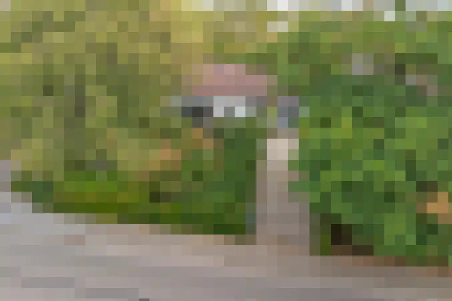 Dorpsstraat 126 Krabbendijke thumbnail 52