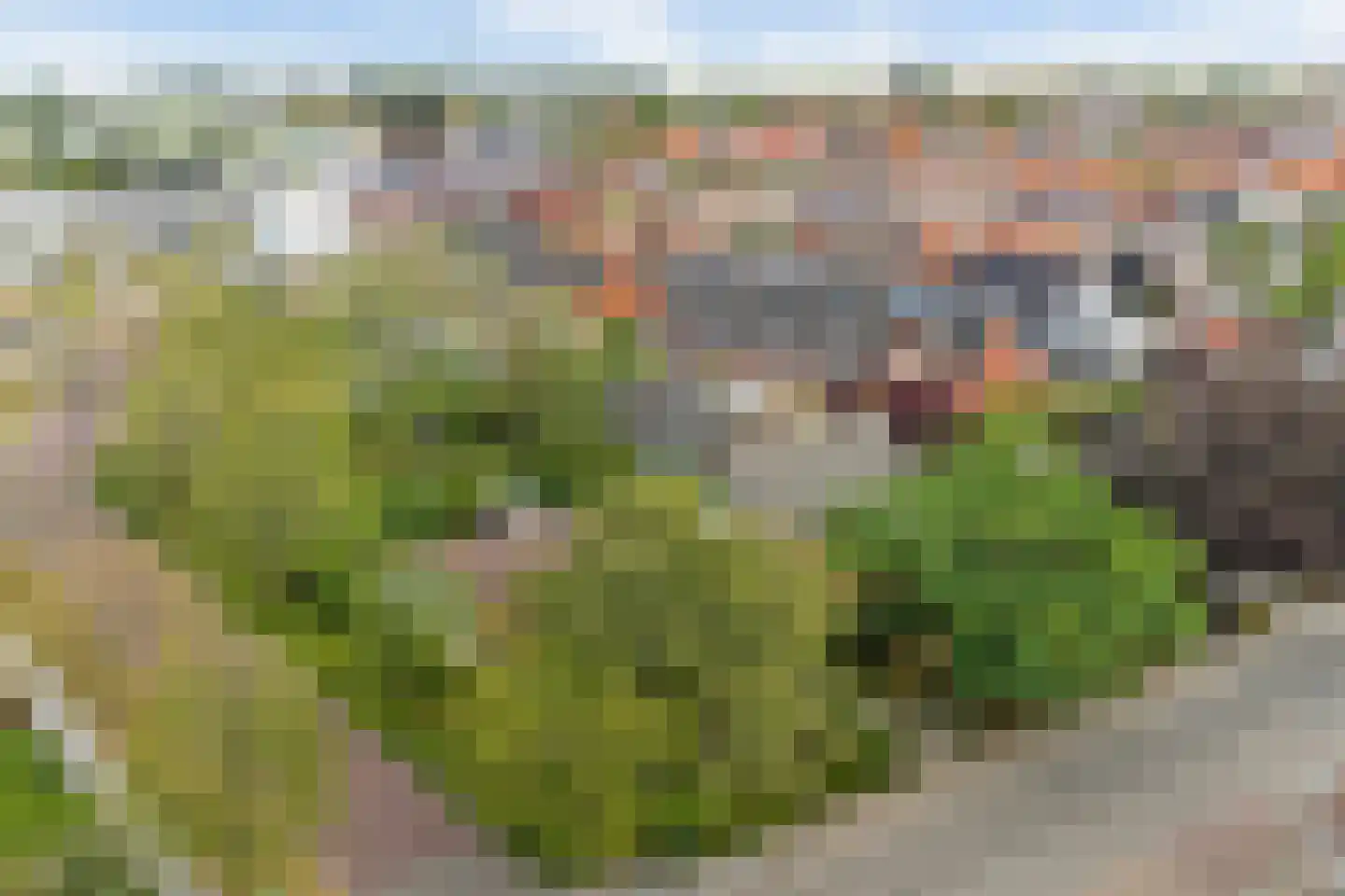 Dorpsstraat 126 Krabbendijke thumbnail 55