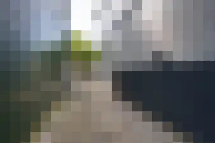 Dorpsstraat 126 Wormer thumbnail 34