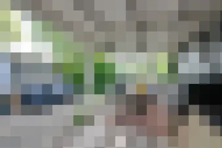Dorpsstraat 126 Wormer thumbnail 38