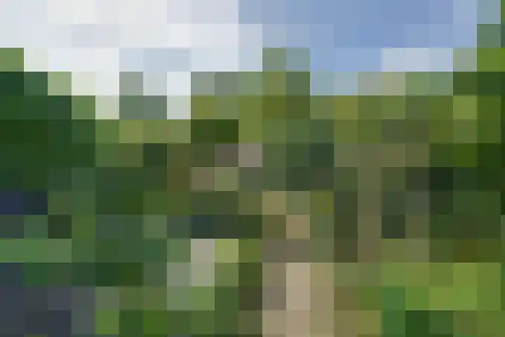 Dorpsstraat 126 Wormer thumbnail 39