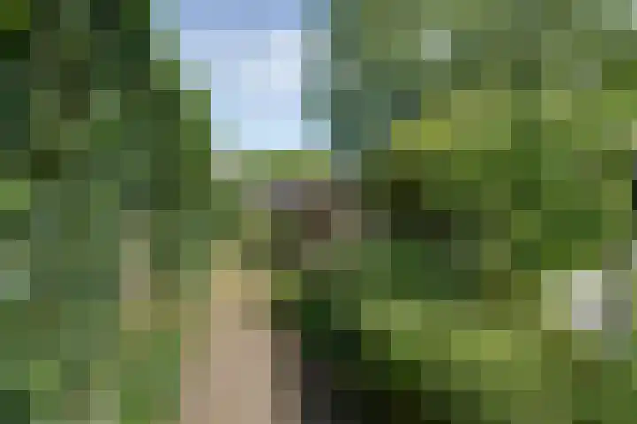 Dorpsstraat 126 Wormer thumbnail 42