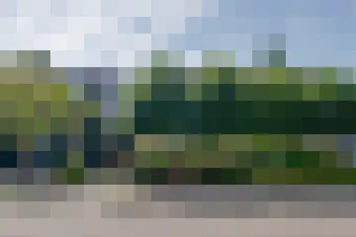Dorpsstraat 126 Wormer thumbnail 47