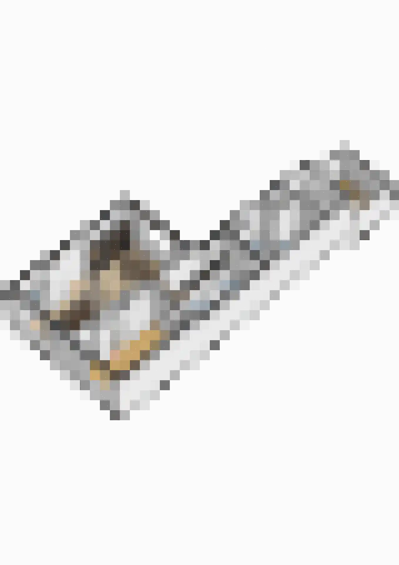 Dorpsstraat 127 Heinkenszand thumbnail 49