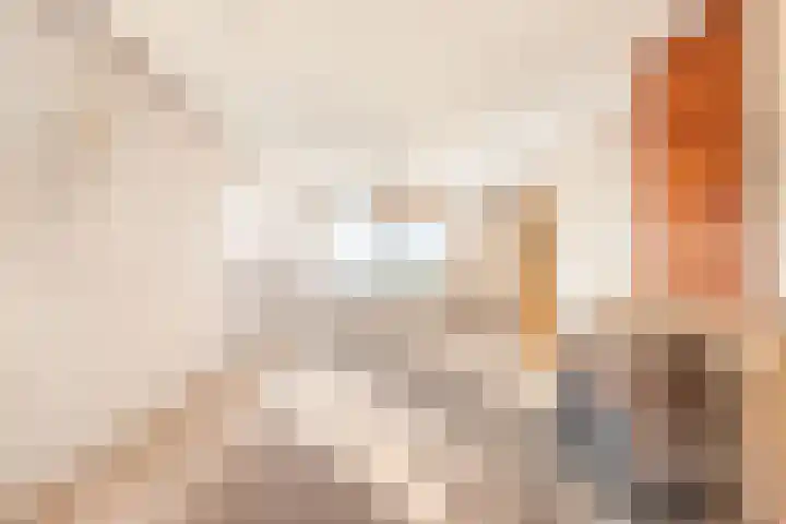 Dorpsstraat 127 Jisp thumbnail 11