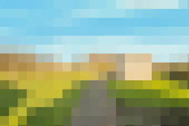 Dorpsstraat 127 Jisp thumbnail 28