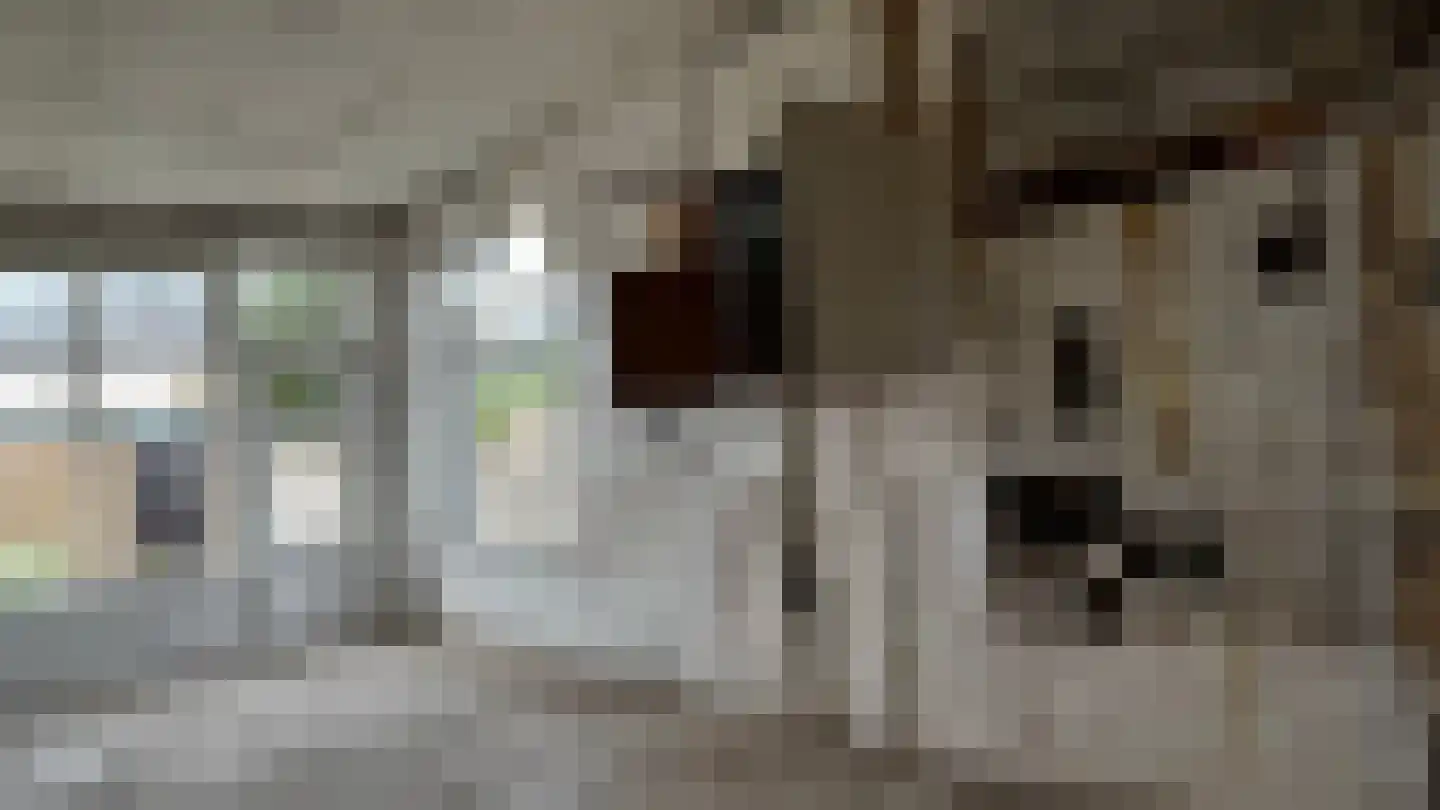 Dorpsstraat 128 A Mierlo thumbnail 5