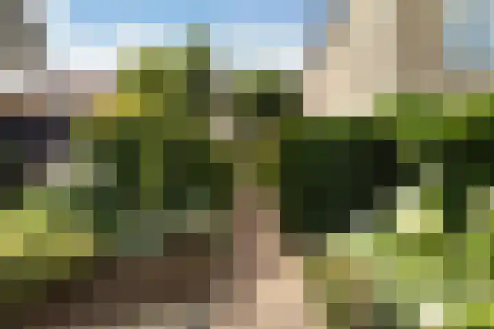 Dorpsstraat 128 Ouderkerk aan den IJssel thumbnail 34