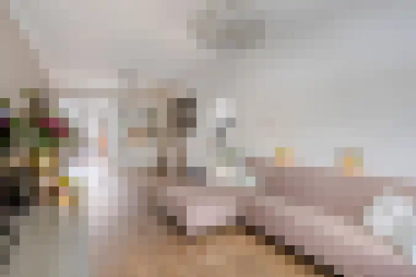 Dorpsstraat 129 Helmond thumbnail 11