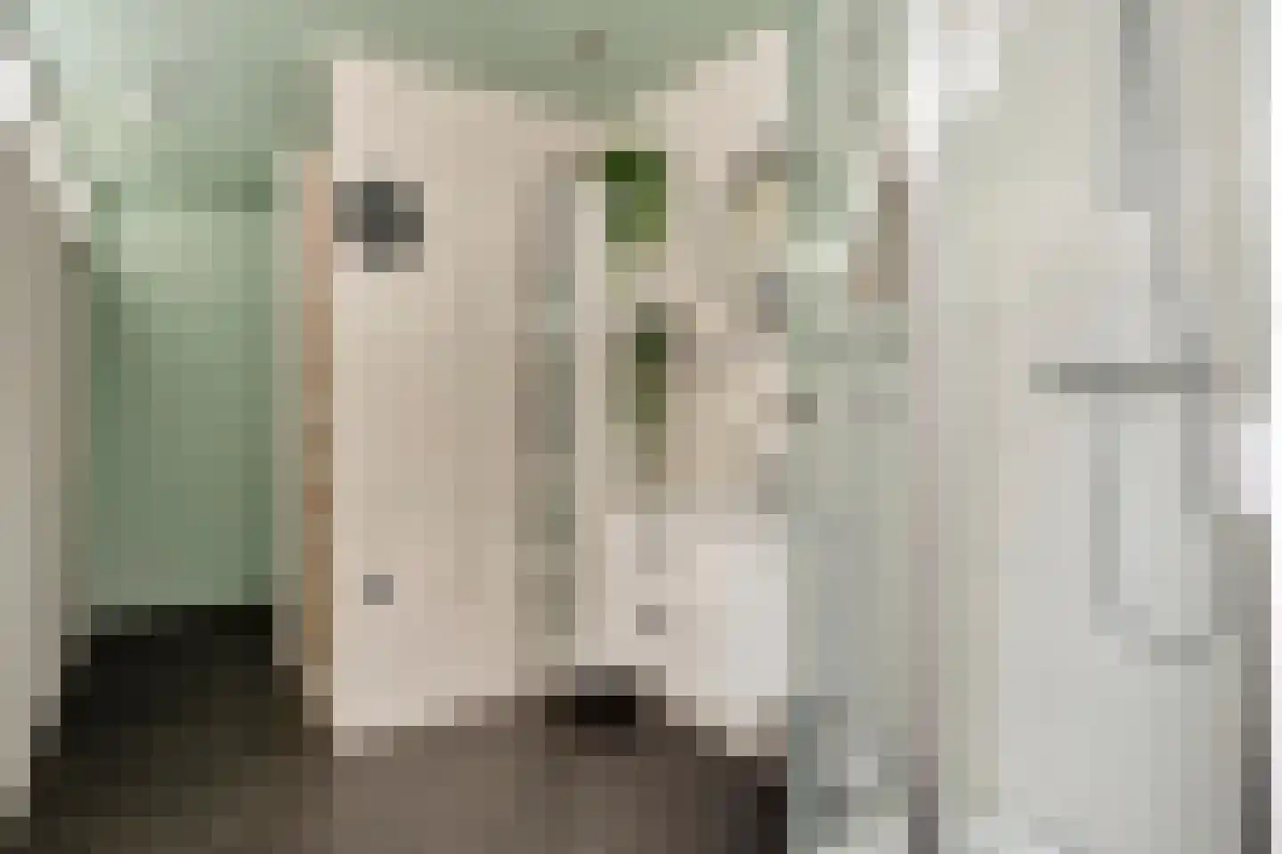 Dorpsstraat 129 Helmond thumbnail 24