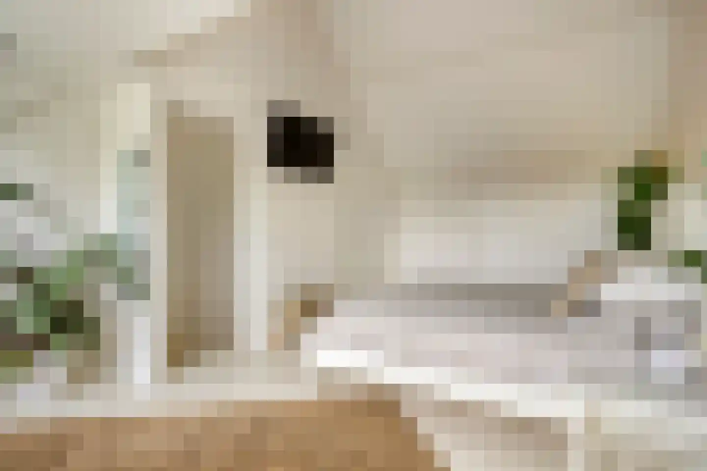 Dorpsstraat 129 Helmond thumbnail 34