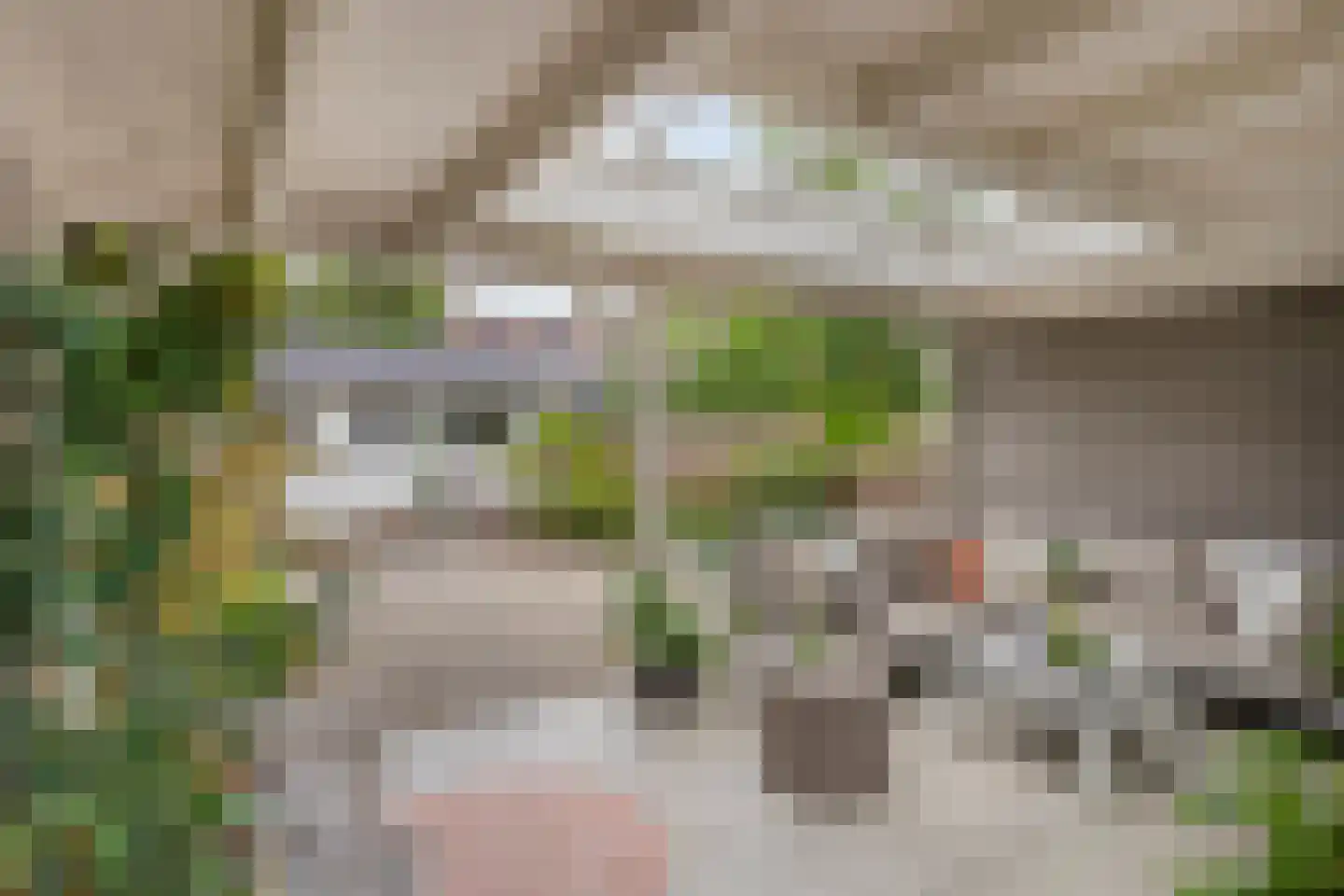 Dorpsstraat 129 Helmond thumbnail 41