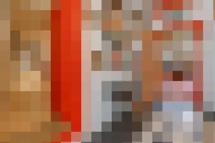 Dorpsstraat 13 Bronneger thumbnail 13
