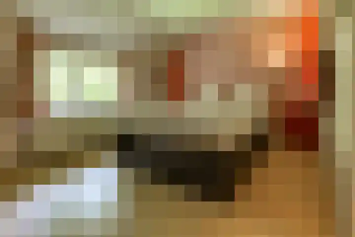Dorpsstraat 13 Bronneger thumbnail 15