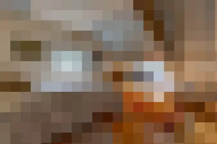 Dorpsstraat 13 Bronneger thumbnail 21