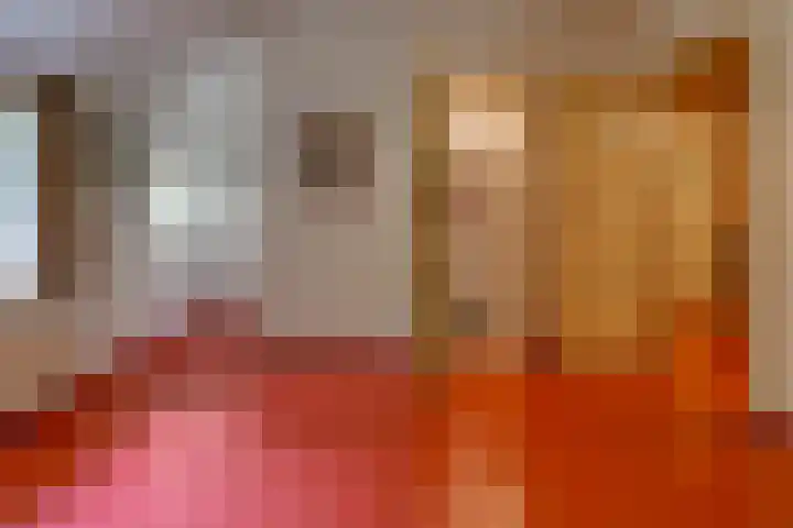 Dorpsstraat 13 Bronneger thumbnail 33