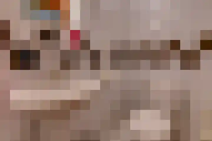 Dorpsstraat 13 Bronneger thumbnail 34