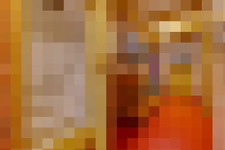 Dorpsstraat 13 Bronneger thumbnail 35