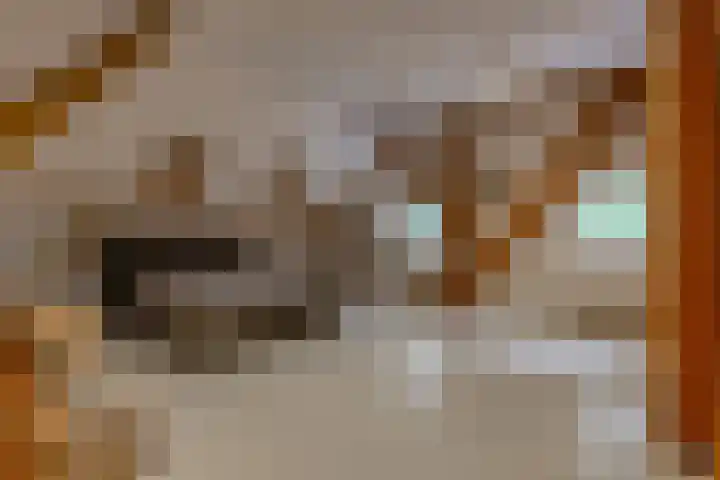 Dorpsstraat 13 Bronneger thumbnail 37