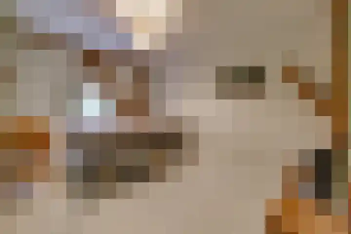 Dorpsstraat 13 Bronneger thumbnail 39