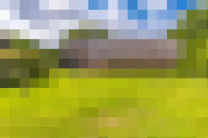 Dorpsstraat 13 Bronneger thumbnail 4