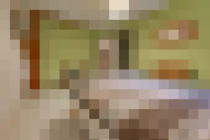 Dorpsstraat 13 Bronneger thumbnail 40