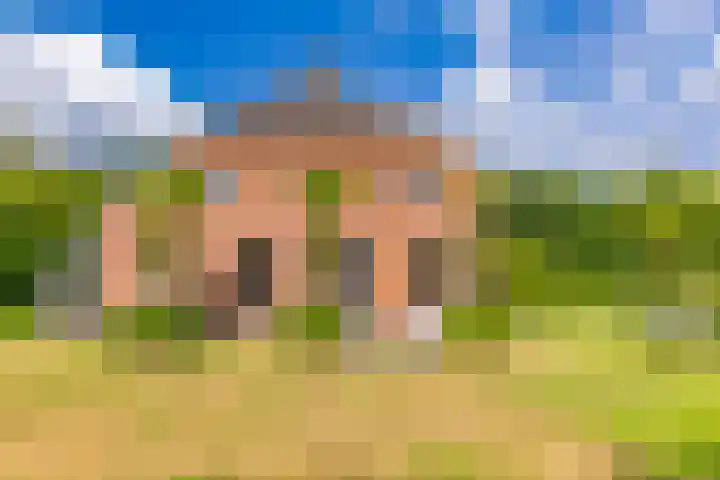 Dorpsstraat 13 Bronneger thumbnail 42