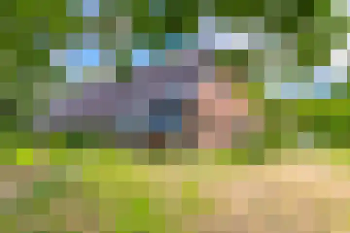 Dorpsstraat 13 Bronneger thumbnail 43