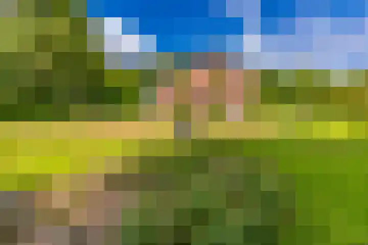Dorpsstraat 13 Bronneger thumbnail 44