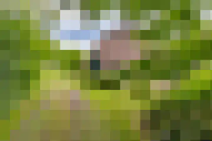 Dorpsstraat 13 Bronneger thumbnail 45