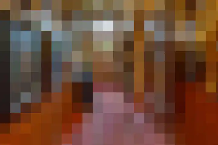 Dorpsstraat 13 Bronneger thumbnail 5