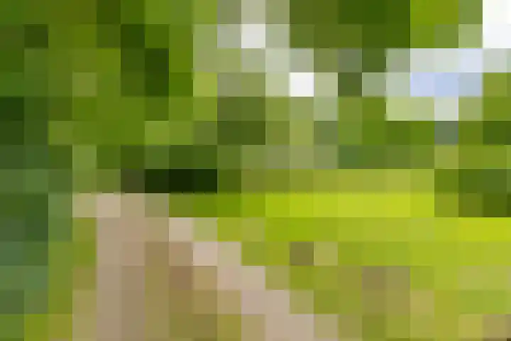 Dorpsstraat 13 Bronneger thumbnail 51