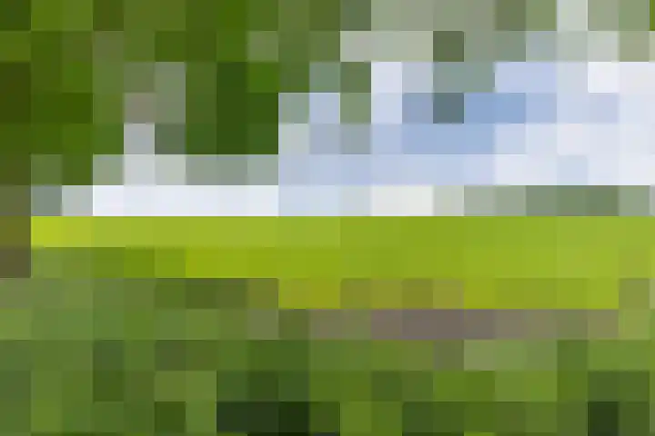 Dorpsstraat 13 Bronneger thumbnail 52