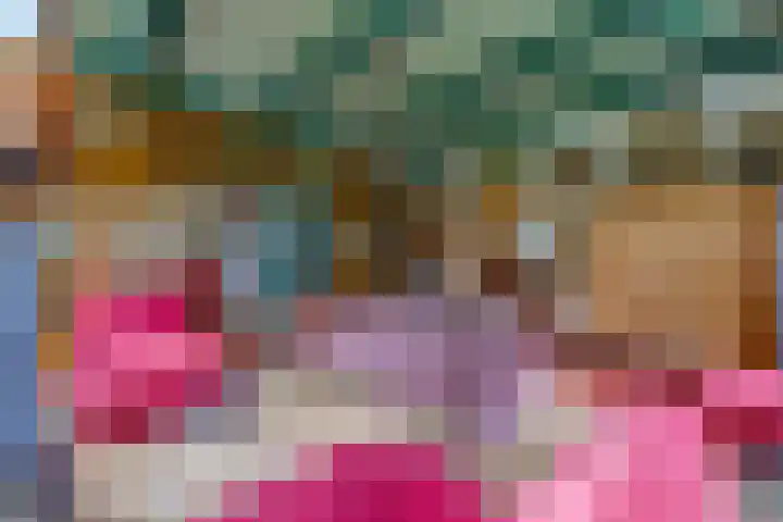 Dorpsstraat 13 Bronneger thumbnail 6
