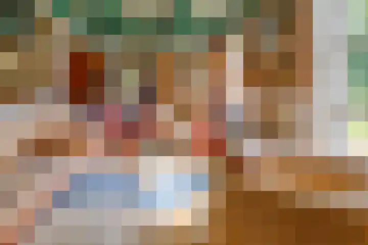 Dorpsstraat 13 Bronneger thumbnail 8