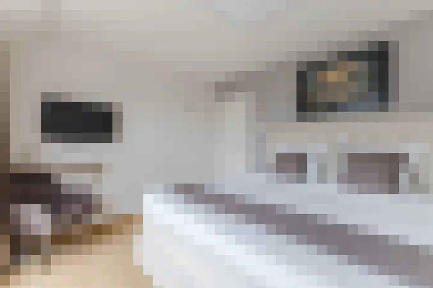 Dorpsstraat 13 Markenbinnen thumbnail 23