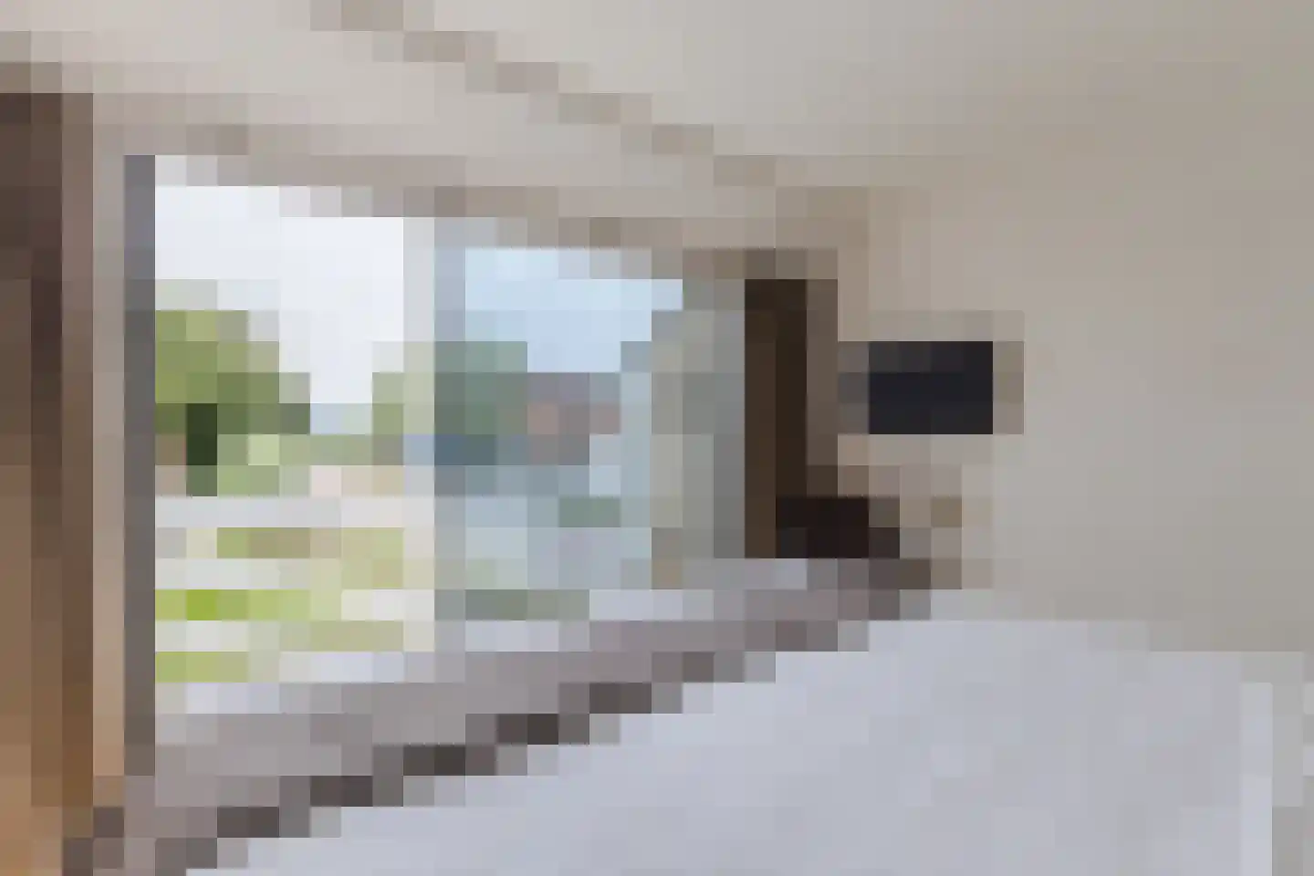 Dorpsstraat 13 Markenbinnen thumbnail 24